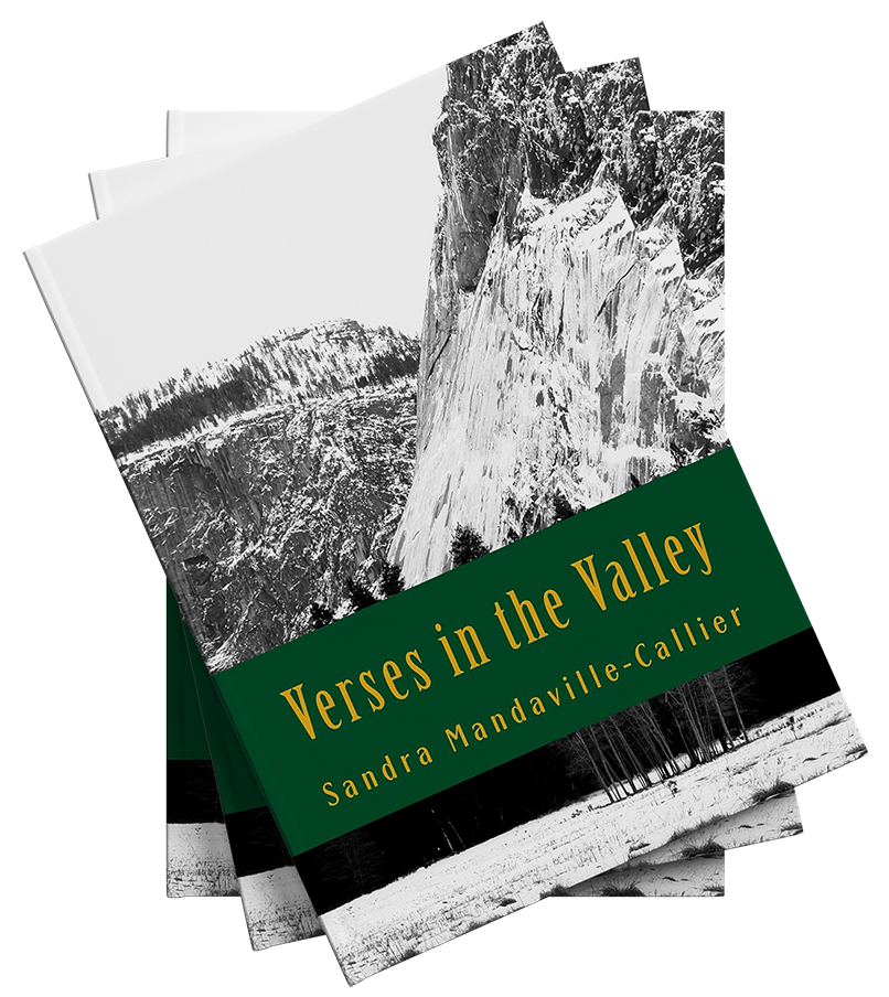 Book Verses in the Valley